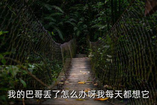 東莞巴哥犬走丟，巴哥犬跑丟近4個月了 還能回來嗎