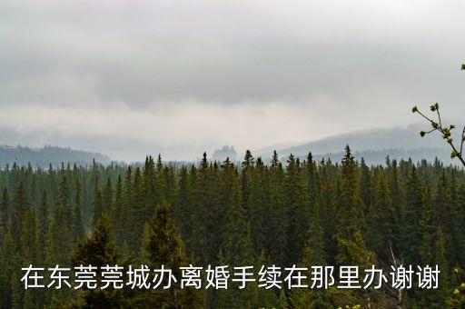 在東莞莞城辦離婚手續在那里辦謝謝