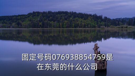 固定號碼076938854759是在東莞的什么公司