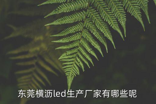 東莞橫瀝led生產(chǎn)廠家有哪些呢
