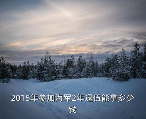 東莞政府海軍退伍金湖北籍，2011年退伍的海軍義務兵退伍費大概多少
