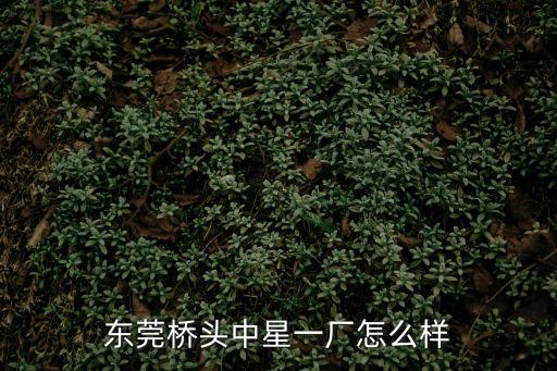 東莞橋頭中星一廠怎么樣
