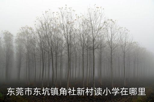 東莞市東坑鎮角社新村讀小學在哪里
