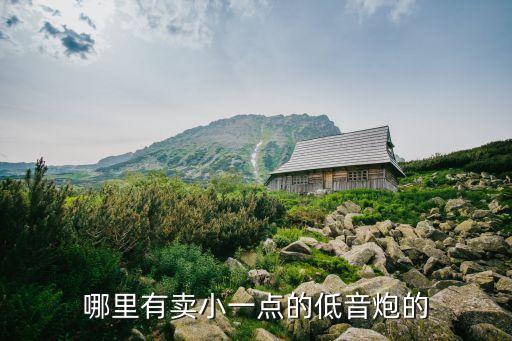 哪里有賣小一點(diǎn)的低音炮的