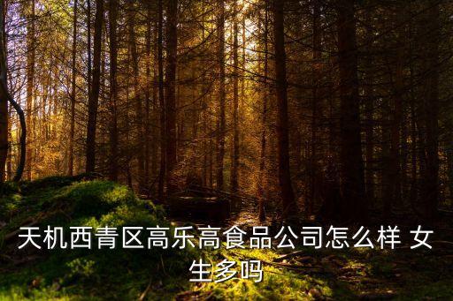 天機西青區高樂高食品公司怎么樣 女生多嗎