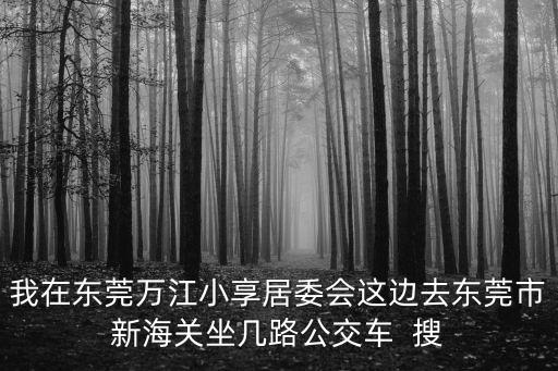 我在東莞萬(wàn)江小享居委會(huì)這邊去東莞市新海關(guān)坐幾路公交車  搜