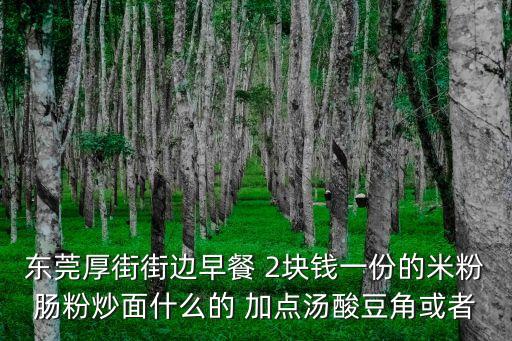 東莞厚街街邊早餐 2塊錢一份的米粉腸粉炒面什么的 加點(diǎn)湯酸豆角或者