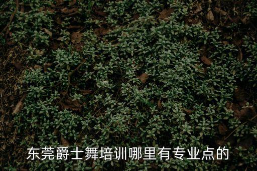 東莞爵士舞培訓哪里有專業點的