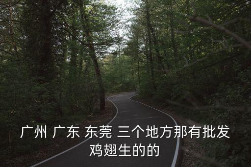 廣州 廣東 東莞 三個(gè)地方那有批發(fā)雞翅生的的