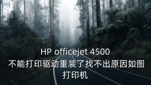 HP officejet 4500 不能打印驅(qū)動重裝了找不出原因如圖打印機