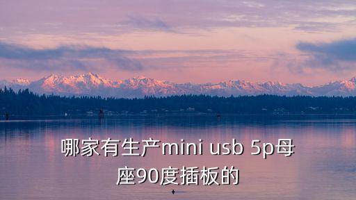 哪家有生產(chǎn)mini usb 5p母座90度插板的