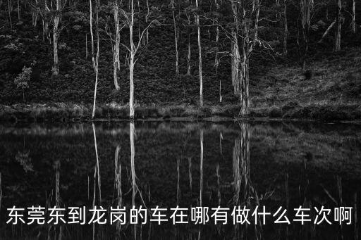 東莞東到龍崗的車在哪有做什么車次啊