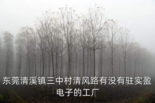 東莞清溪鎮(zhèn)三中村清風(fēng)路有沒(méi)有駐實(shí)盈電子的工廠