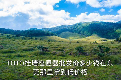 TOTO掛墻座便器批發價多少錢在東莞那里拿到低價格