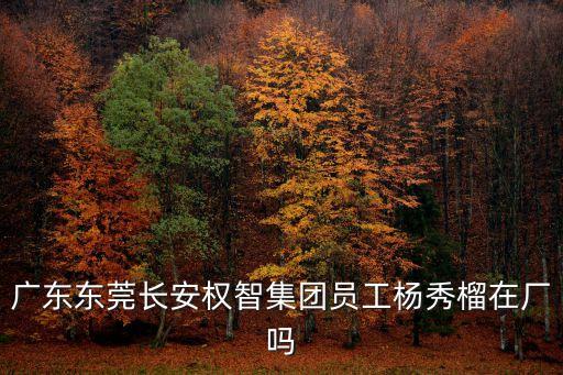東莞長安女企業家，廣東東莞長安權智集團員工楊秀榴在廠嗎
