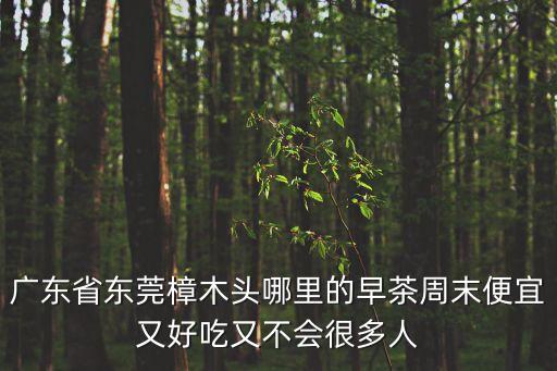 廣東省東莞樟木頭哪里的早茶周末便宜又好吃又不會(huì)很多人