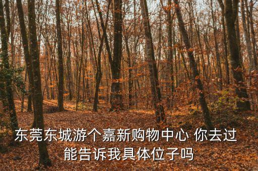 東莞金科集美天宸位置，東莞東城游個(gè)嘉新購(gòu)物中心 你去過 能告訴我具體位子嗎