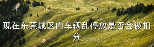 現在東莞城區內車輛亂停放是否會被扣分