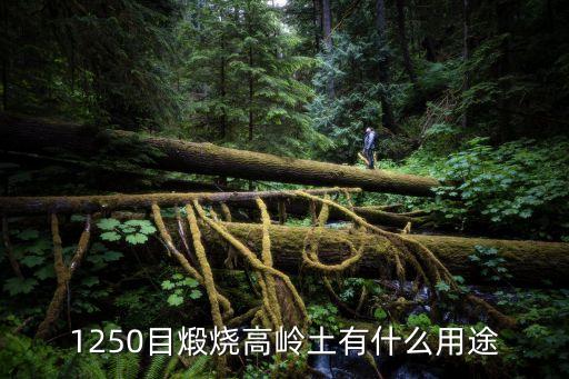 東莞涂料級煅燒高嶺土，1250目煅燒高嶺土有什么用途