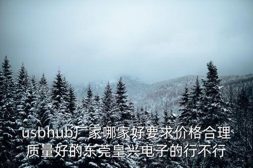 usbhub廠家哪家好要求價格合理質(zhì)量好的東莞皇興電子的行不行
