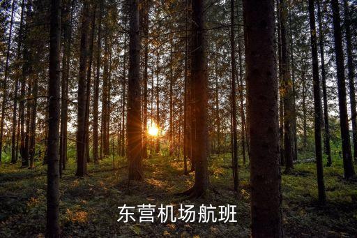 東營飛東莞航班時刻表，東營機場航班