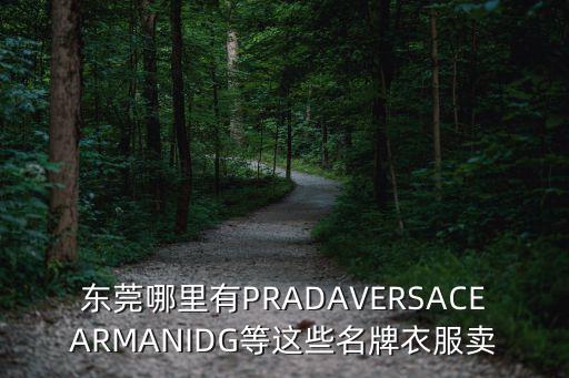 東莞哪里有PRADAVERSACEARMANIDG等這些名牌衣服賣