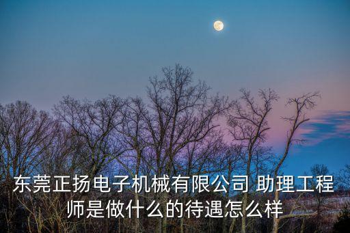 東莞正揚電子獵聘，東莞正揚電子廠是做什么的