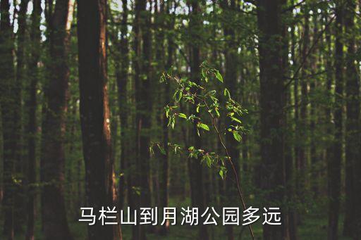 東莞茶山月湖路多少公里，東莞的大朗鎮和茶山鎮距離多遠