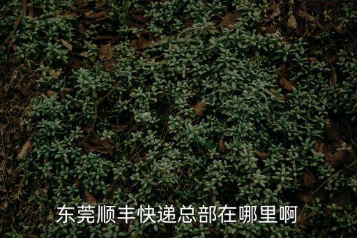 順豐速運東莞東城網點，東莞順豐快遞總部在哪里啊