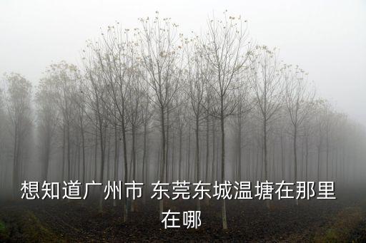 東莞東城溫塘選舉，想知道廣州市 東莞東城溫塘在那里 在哪