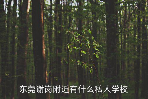 東莞謝崗附近有什么私人學校