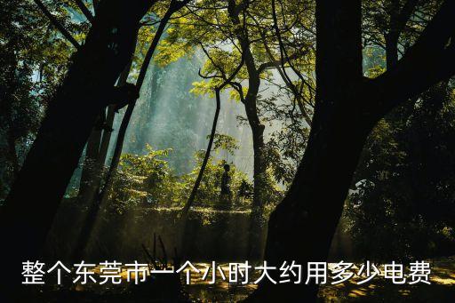 整個東莞市一個小時大約用多少電費