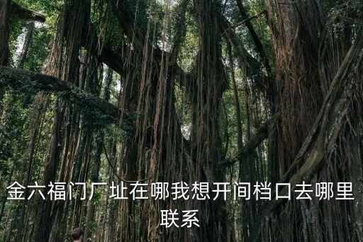 東莞金六福門窗專門店，金六福全國(guó)有連鎖店嗎