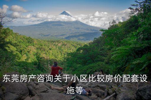 東莞房產咨詢關于小區比較房價配套設施等