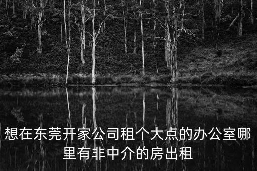 想在東莞開家公司租個大點的辦公室哪里有非中介的房出租