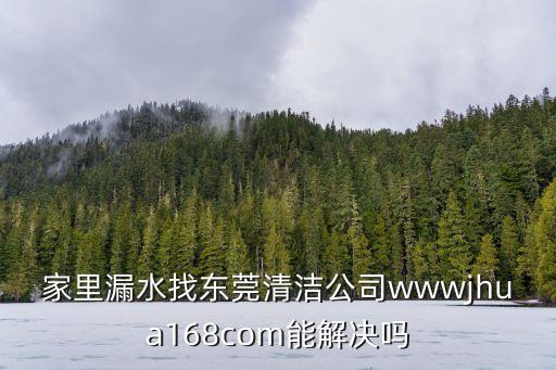 家里漏水找東莞清潔公司wwwjhua168com能解決嗎
