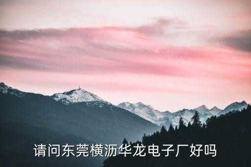 請問東莞橫瀝華龍電子廠好嗎