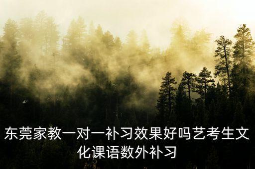 東莞家教一對一補習效果好嗎藝考生文化課語數外補習