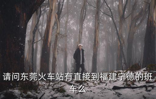 請問東莞火車站有直接到福建寧德的班車么