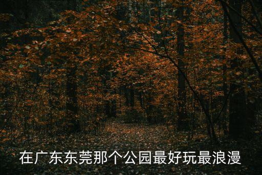 東莞下橋公園好玩嗎，東莞哪個公園最好玩