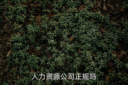 人力資源公司正規嗎