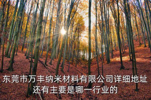 東莞市萬(wàn)豐納米材料有限公司詳細(xì)地址還有主要是哪一行業(yè)的