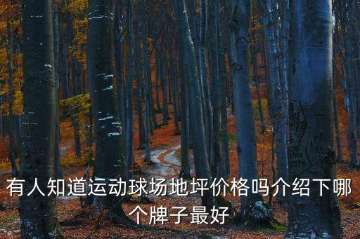東莞球場地坪漆報價，地坪漆多少錢1平方