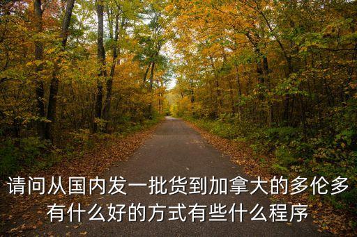 請(qǐng)問(wèn)從國(guó)內(nèi)發(fā)一批貨到加拿大的多倫多有什么好的方式有些什么程序