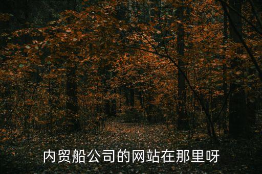 內貿船公司的網站在那里呀