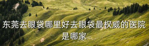 東莞去眼袋哪里好去眼袋最權(quán)威的醫(yī)院是哪家