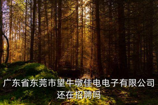 東莞望牛墩鎮下潮工業區招工信息，望牛墩有哪些電子廠