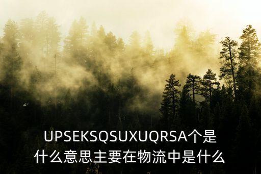 UPSEKSQSUXUQRSA個是什么意思主要在物流中是什么