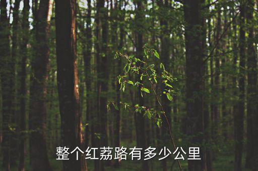整個紅荔路有多少公里