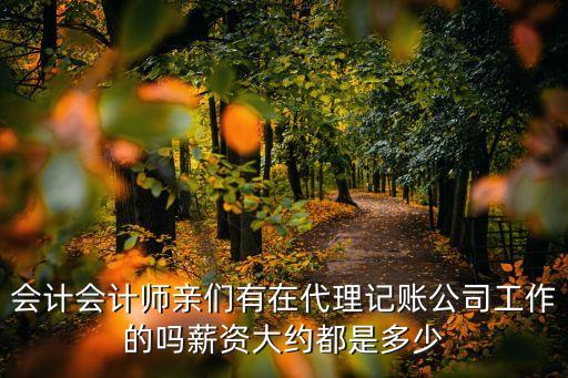 會計會計師親們有在代理記賬公司工作的嗎薪資大約都是多少